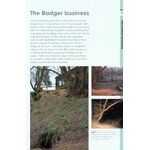 RSPB SPOTLIGHT: BADGERS 5