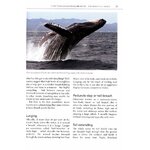 MARK CARWARDINE'S GUIDE TO WHALE WATCHING IN NORTH AMERICA 4