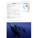 MARK CARWARDINE'S GUIDE TO WHALE WATCHING IN NORTH AMERICA 5