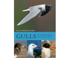 GULLS OF THE WORLD. A PHOTOGRAPHIC GUIDE