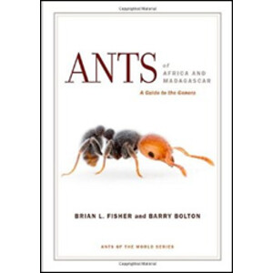 ANTS OF AFRICA AND MADAGASCAR. A GUIDE TO THE GENERA
