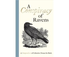 A CONSPIRACY OF RAVENS
