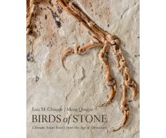 BIRDS OF STONE. CHINESE AVIAN FOSSILS FROM THE AGE OF DINOSAURS