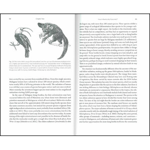 MESSAGES FROM ISLANDS. A GLOBAL BIODIVERSITY TOUR 3