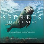 SECRETS OF THE SEAS: A JOURNEY INTO THE HEART OF THE OCEANS