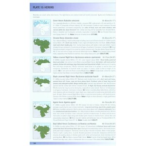 HELM FIELD GUIDES. BIRDS OF VENEZUELA 3