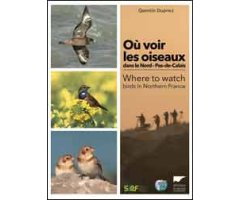 OÙ VOIR LES OISEAUX DANS LE NORD-PAS-DE-CALAIS / WHERE TO WATCH BIRDS IN NORTHERN FRANCE
