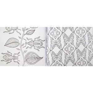 WONDERFUL INSECTS. COLORING BOOK_1