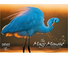 THE MAGIC MOMENT. EXTRAORDINARY PHOTOGRAPHS OF NATURE
