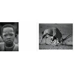 ÁFRICA 4