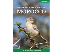 WHERE TO WATCH BIRDS IN MOROCCO