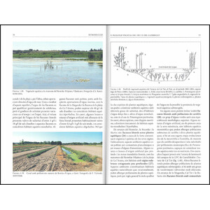 FLORA VASCULAR DEL DELTA DEL LLOBREGAT_1