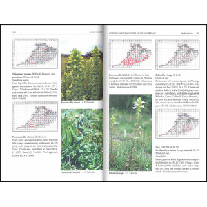 FLORA VASCULAR DEL DELTA DEL LLOBREGAT 4