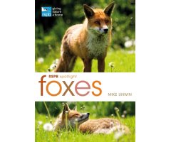 RSPB SPOTLIGHT: FOXES