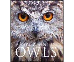 A PARLIAMENT OF OWLS