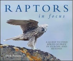 RAPTORS IN FOCUS