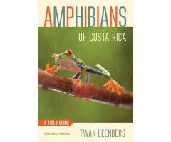 AMPHIBIANS OF COSTA RICA: A FIELD GUIDE