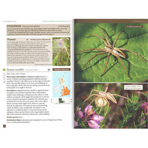 BRITAIN'S SPIDERS: A FIELD GUIDE 3