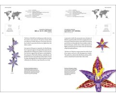 THE BOOK OF ORCHIDS: A LIFE-SIZE GUIDE TO SIX HUNDRED SPECIES FROM AROUND THE WORLD_1