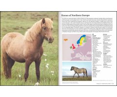 HORSES OF THE WORLD_1