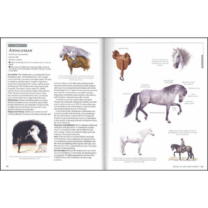 HORSES OF THE WORLD 3