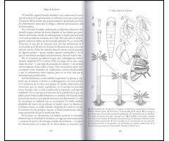 ELOGIO DE LA PLANTA. POR UNA NUEVA BIOLOGÍA 2