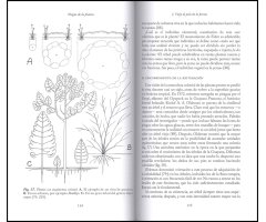 ELOGIO DE LA PLANTA. POR UNA NUEVA BIOLOGÍA 3