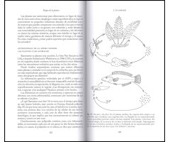 ELOGIO DE LA PLANTA. POR UNA NUEVA BIOLOGÍA 4