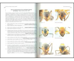 GUÍA DE CAMPO DE LAS HORMIGAS DE EUROPA OCCIDENTAL. NUEVA GENERACIÓN DE GUÍAS DE CAMPO 3
