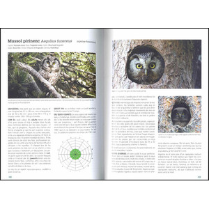 GUIA DE CAMP DELS OCELLS A CATALUNYA 3