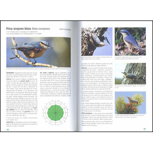 GUIA DE CAMP DELS OCELLS A CATALUNYA 4