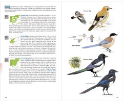 BIRDS OF SPAIN 4
