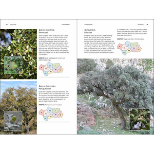 WILD PLANTS OF SOUTHERN SPAIN. A GUIDE TO THE NATIVE PLANTS OF ANDALUCIA 3