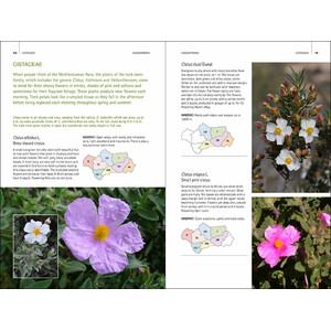 WILD PLANTS OF SOUTHERN SPAIN. A GUIDE TO THE NATIVE PLANTS OF ANDALUCIA 4