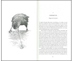 EL INGENIO DE LOS PÁJAROS                                                                                                                              2
