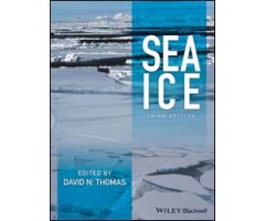 SEA ICE