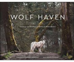 WOLF HAVEN. SANCTUARY AND THE FUTURE OF WOLVES IN NORTH AMERICA