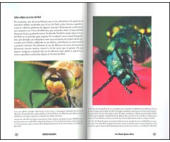 MACROFOTOGRAFÍA DE NATURALEZA 3