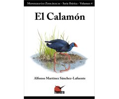 EL CALAMÓN