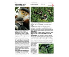 ALL THE WORLD'S PRIMATES 2