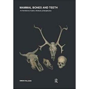 MAMMAL BONES AND TEETH