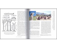 LA MEMORIA DEL PAISAJE. PASADO Y FUTURO DE UN PATRIMONIO COMÚN 4