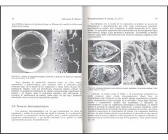 MICROPALEONTOLOGÍA 2
