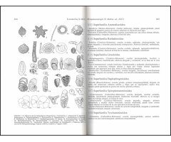 MICROPALEONTOLOGÍA 4
