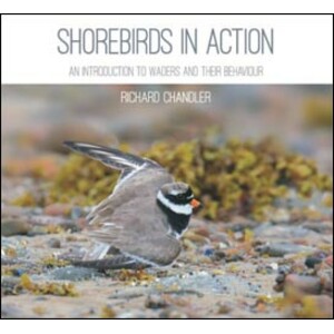SHOREBIRDS IN ACTION. AN INTRODUCTION TO WADERS AND THEIR BEHAVIOUR