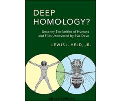 DEEP HOMOLOGY? UNCANNY SIMILARITIES OF HUMANS AND FILES UNCOVERED BY EVO-DEVO                                                                         