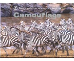 CAMOUFLAGE    