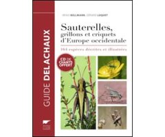SAUTERELLES, GRILLONS ET CRIQUETS D'EUROPE OCCIDENTALE