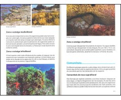 LA BIODIVERSITAT MARINA D'EIVISSA 2