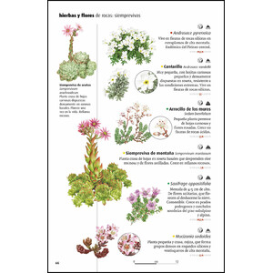 VIDA SALVAJE DE LOS PIRINEOS_1